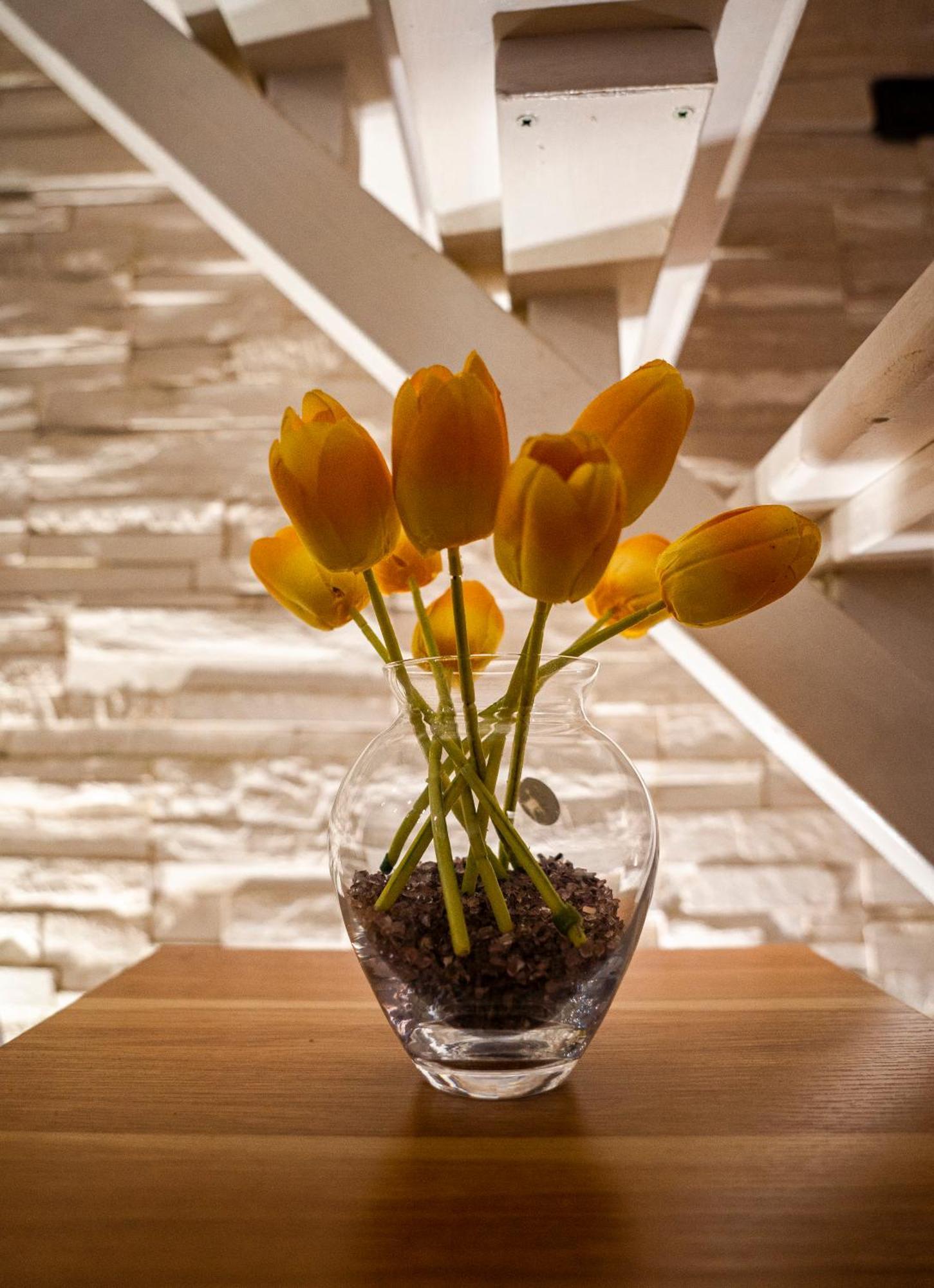 My Cozy Home Brindisi Luaran gambar